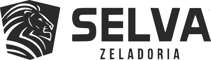 Voia Agency Marketing - São José dos Campos 9 path1